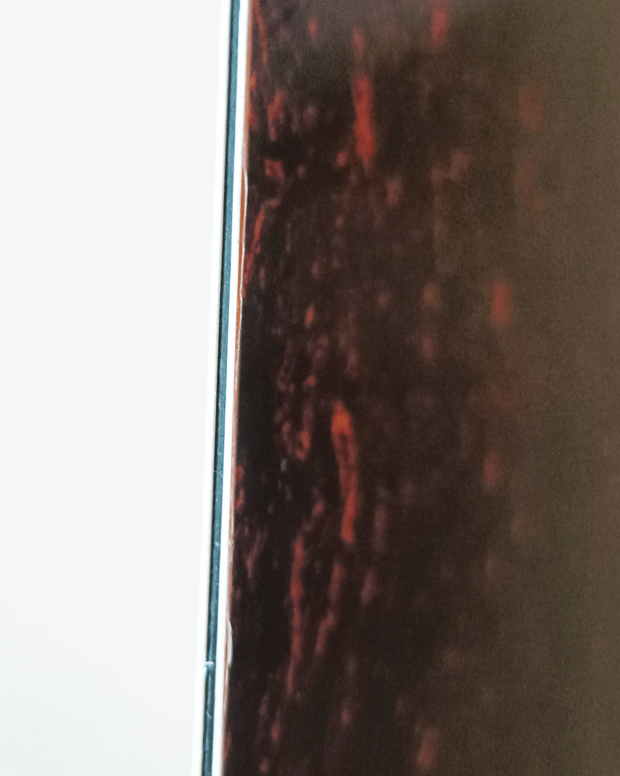 Bild 20 von 45