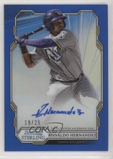 2019 Bowman Sterling Prospect Blue Refractor 19/25 Ronaldo Hernandez Auto 6o3