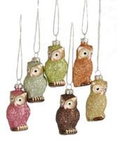 Cody Foster Glitter Glass Owl Ornaments - Set of 6