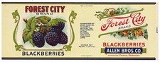 FOREST CITY Vintage Blackberries  **AN ORIGINAL 1920’s TIN CAN LABEL**