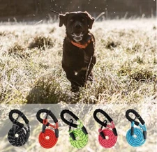 5 FT Dog Rope Leash - Reflective Nylon Lead, Training Padded Handle for Puppies
