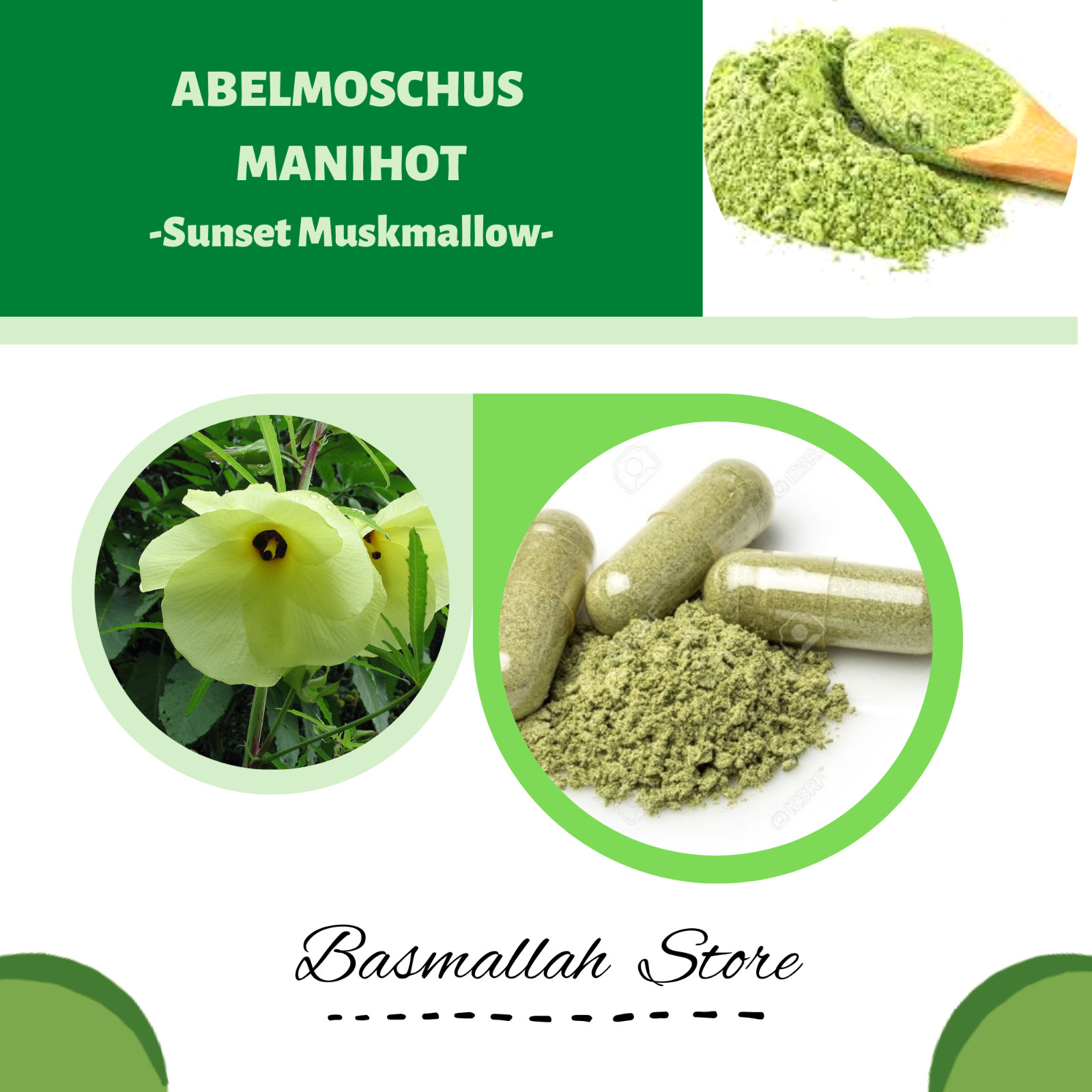 CAPSULE Tramonto Muskmallow Sunset Hibiscus Hibiscus Manihot Abelmoschus Manihot foto 3