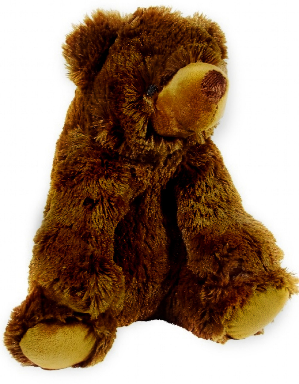 teddy bear realistic