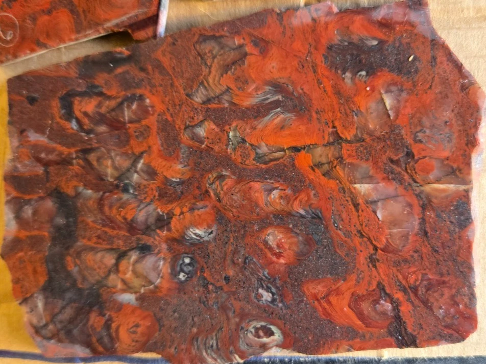 Mary Ellen Stromatolite Jaspe Rojo (2) Losas, (7) Preformas de Cabujón, Plano 90 Foto 4 de 4