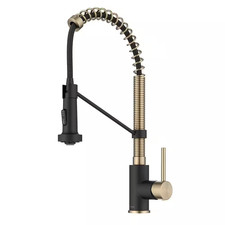 Single Handle 18-Inch Faucet with Dual Functi...