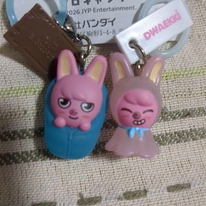 Skzoo Merch | eBay