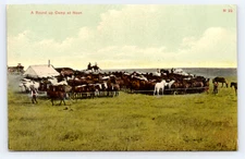 Roundup Camp with Cowboys and Horses c1909 Postcard Montana Western Ranch Scene