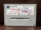 SNES SFC SAILOR MOON SuperS Nintendo Japan Action Fighting Game 1996 – NTSC-J
