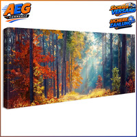 Leinwandbild Fantasy Wald Baum Sonnenschein Herbst Natur Landschaft 50X120Cm