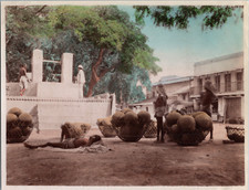 Inde, Vue de jars, Vintage print, circa 1900 Tirage vintage légendé photochrom