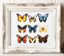 Butterfly Wall Art Print, Colorful Butterflies Print Wall Art Decor Print 21