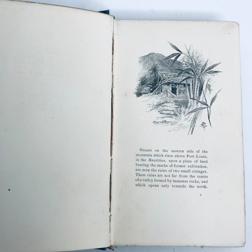 Paul and Virginia by B. De Saint Rare Antique Pierre 1894 Small Book - Picture 9 of 24
