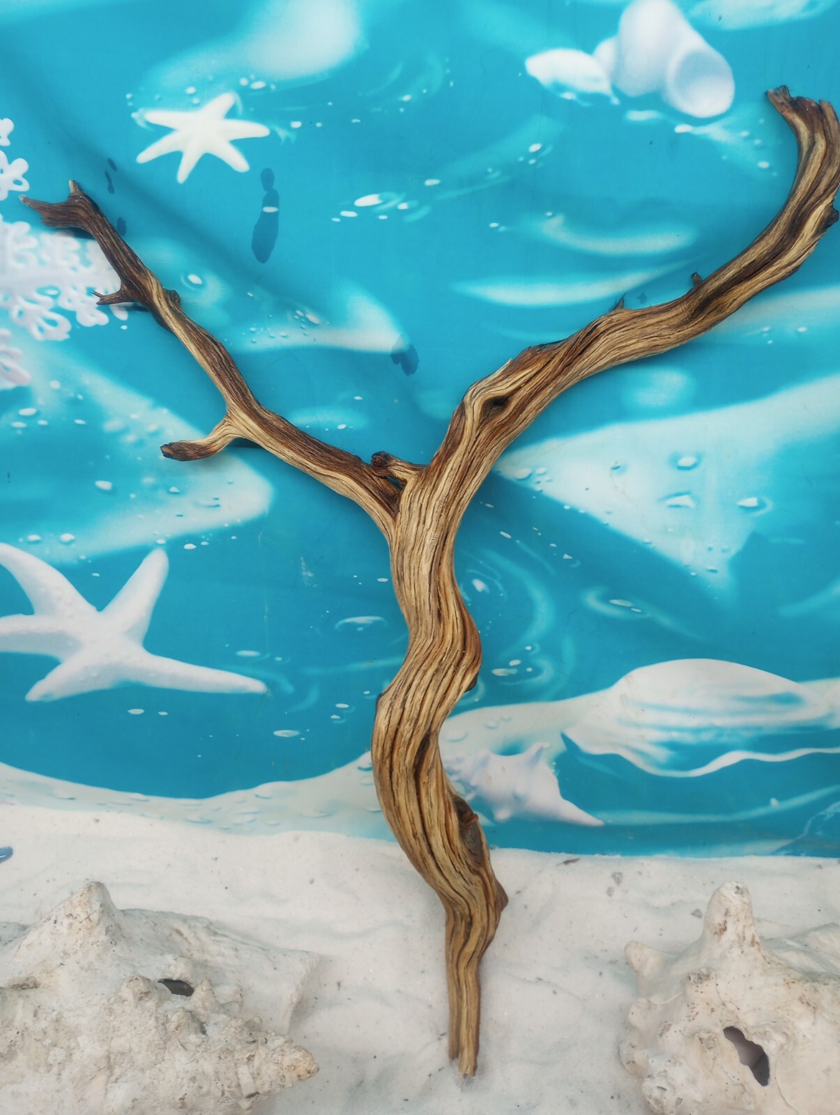 Manzanita driftwood premium aquarium wood aquascape decor reptiles bird