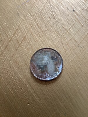 andamiro token Südkorea gegründet 1992 Kentish Strandkammfund