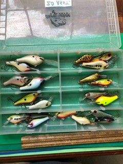 20 ASSORTED POES CRANKBAIT LURE NICE