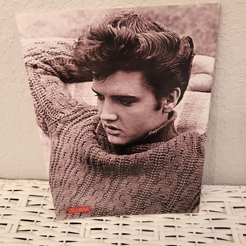ELVIS PRESLEY'S GRACELAND OFFICIAL GUIDEBOOK SOFT COPY NEW - Picture 2 of 2
