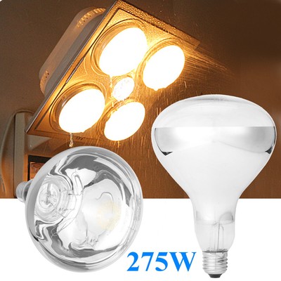 Ixl Bathroom Light Globes – Everything Bathroom