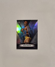 Hulk Hogan Cards and Memorabilia Guide 22
