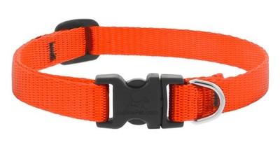 Lupine Small Dog Collar 1/2'' Wide Blaze Orange adjusts 10-16'' Long