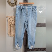 Good American Good legs straight Indigo Plus Size 22