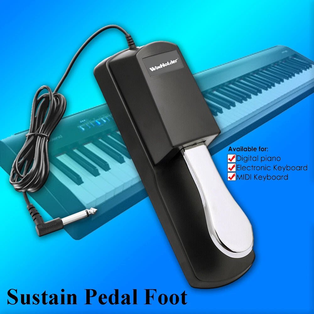 Do Digital Pianos Have Dampers