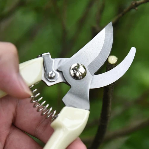Garden Scissors for Plant, Tip Pruning Shears for Cutting Flowers - Picture 4 of 5