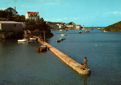 CPSM GF 56 - BELLE-ILE-EN-MER (Morbihan) - 28. Flut Sauce