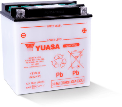 Yuasa YB30L-B Yumicron CX For 12-Volt Battery - Reliable Power Source