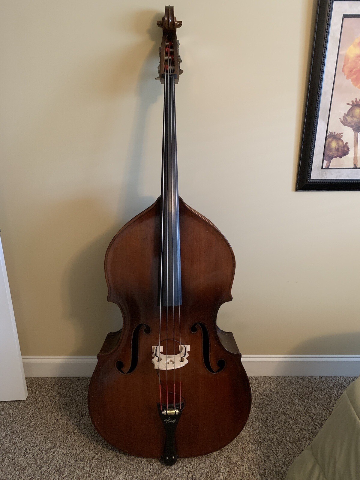 1966 Kay Upright Bass eBay