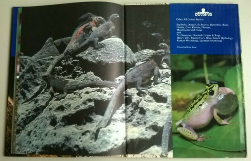 All colour book of REPTILES - Laurence Perkins - Octopus - 1974 - Neuf ! - Picture 11 of 12