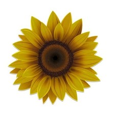5.7" Sunflower Vinyl Sticker Decal, Waterproof Bumper Sticker Use on Wall
