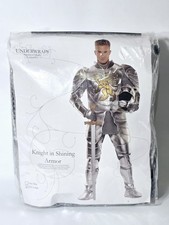 Men's Knight in Shining Armor Costume