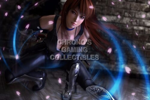 Dead or Alive 5 Ultimate Kasumi PS3 XBOX 360 Premium POSTER MADE IN USA - DOA043 - Picture 1 of 5