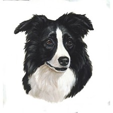Borsa Border Collie