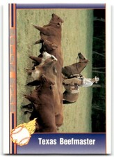 Pacific Texas Express 1991 Nolan Ryan Texas Beefmaster Texas Rangers #104