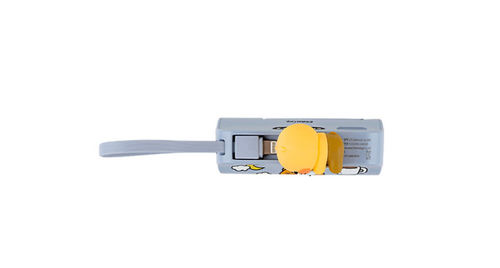 Batterie auxiliaire d'accueil Kakao Friends 5000 mAh Choonsik Type-C Power Bank - Photo 20 sur 27