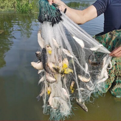 6'X100' Finished Trammel Fishing Net 3 Layers Fishing Gill Net Seine Nets | eBay 6'X100' Finished Trammel Fishing Net 3 Layers Fishing Gill Net Seine Nets | eBay