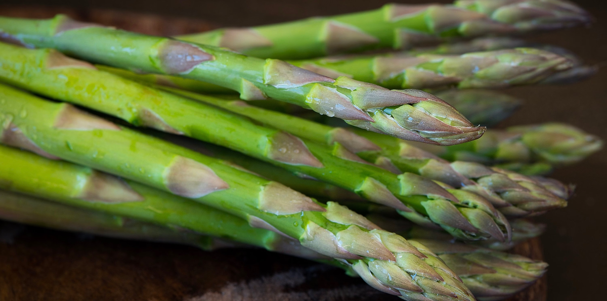 Asparagus Seeds, UC 157 F2, Hybrid, Most Popular Planting