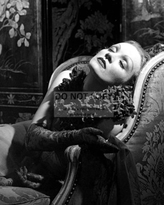 MARLENE DIETRICH LEGENDARY ACTRESS - 8X10 PUBLICITY PHOTO (OP-954)