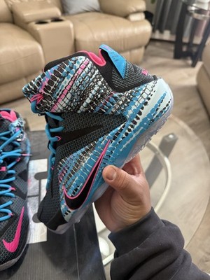 Nike LeBron 12 23 Chromosomes Size 11 Brand New | eBay