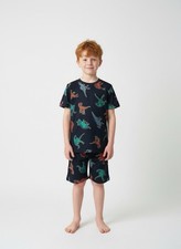 New Old Navy Boys Dinosaur Blue Pajama 2pc Set Kid SZ XL 14-16