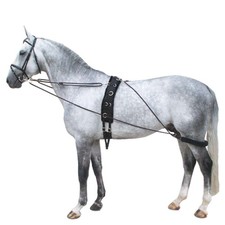 Horse Lunge Training System Aid Develops Top Line Cob/Pony
