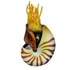 Bild 8 von 11
