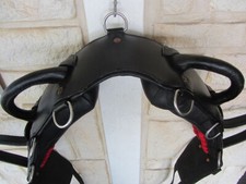 Leder Voltigiergurt Gr. Xful, Umfang 1,90-2,25m schwarz mit Wiederristausschnitt