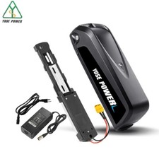 48V 1500W Electric Bike Battery 48V 20Ah Hailong G80 Ebike Battery 40A BMS