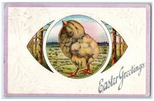 1913 Easter Greetings Big Chicks Embossed Derby Connecticut CT Antique Postcard