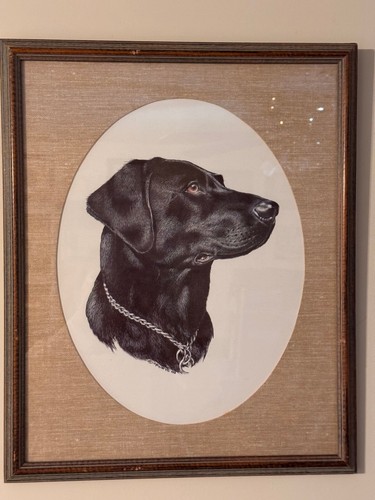 Framed Double Matted Painting Black Lab Dog by Roger Cruwys 21 1/2 " x 17 1/2 "