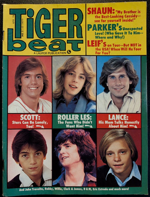 Tiger Beats April 1978 Shaun Cassidy, Leif Garret, Parker Stevenson, Queen, Baio