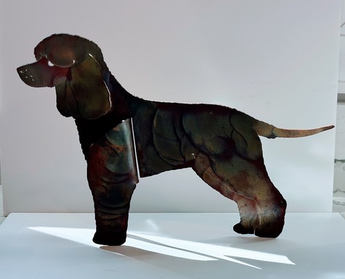 Irish Water Spaniel  Metal State 6"