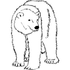 'Polar Bear' Unmounted Rubber Stamp RS025452 